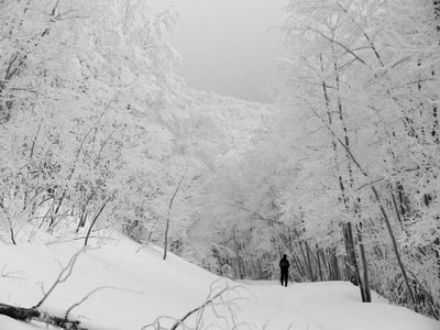 白天在雪山上行走的人